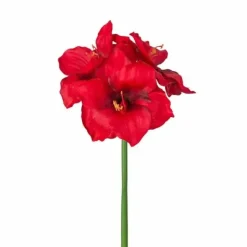 Amaryllis punainen 65 cm