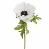 Anemonenoksa 43 cm – kaksi väriä