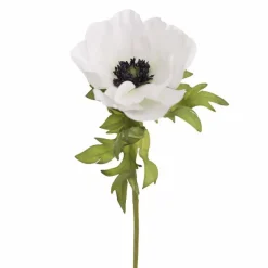 Anemonenoksa 43 cm – kaksi väriä