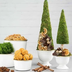 Appelsiinin kuivatut siivut 100g