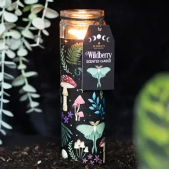Dark Forest tuoksukynttilä lasiastiassa