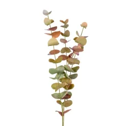 Eucalyptus-oksa 60 cm – useita värejä