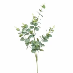 Eucalyptus-oksa 75 cm vihreä