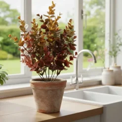 Eucalyptus tekokasvi värikäs – useita kokoja