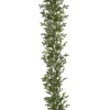 Havuköynnös 190 cm