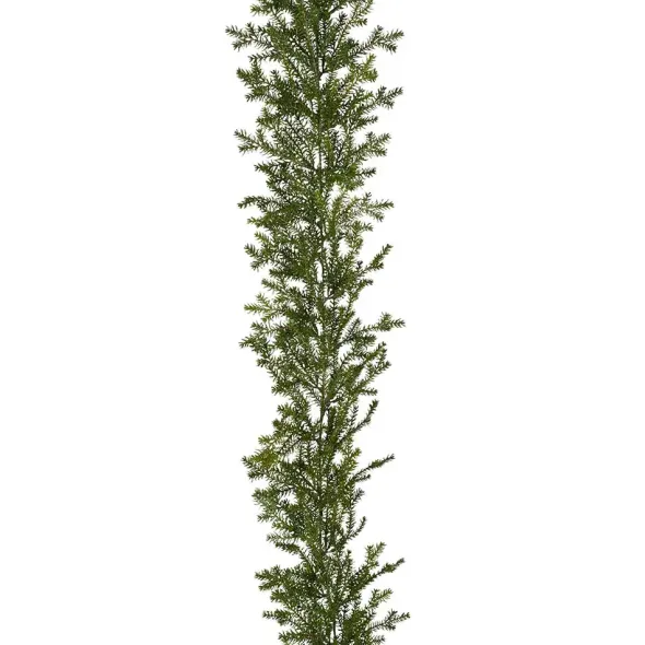 Havuköynnös 190 cm