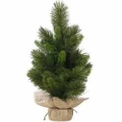 Havupuu ruukussa 45 cm