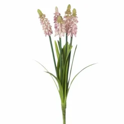 Helmililja 30 cm – kaksi väriä