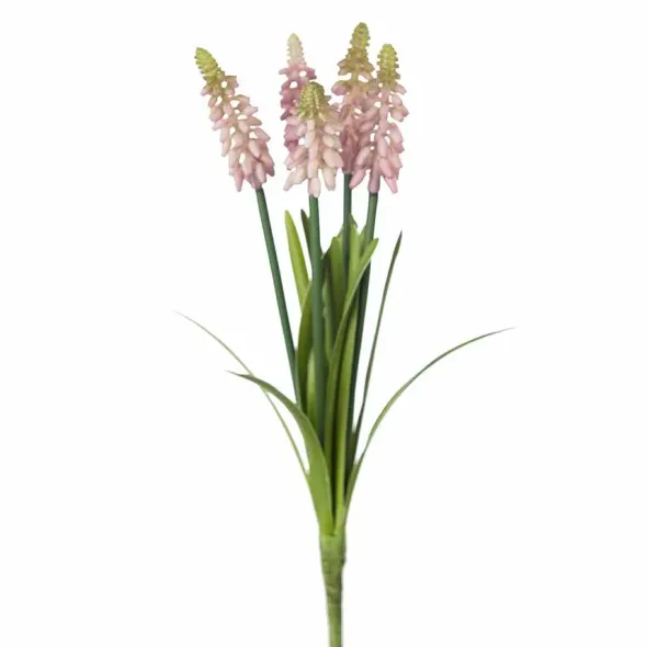 Helmililja 30 cm – kaksi väriä
