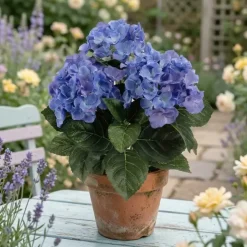 Hortensia tekokukka 30 cm – useita värejä