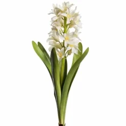 Hyasintti valkoinen 32 cm