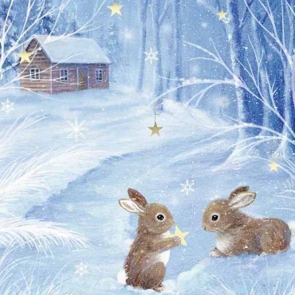 Joulukalenteri Mini Winter Wildlife Pupukaverit
