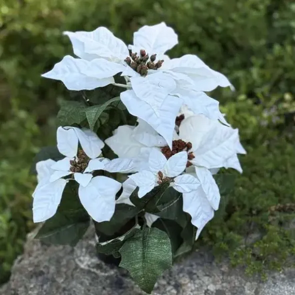 Joulutähti ruukussa 35 cm valkoinen