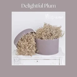 Kalkkimaali 100 ml Delightful Plum