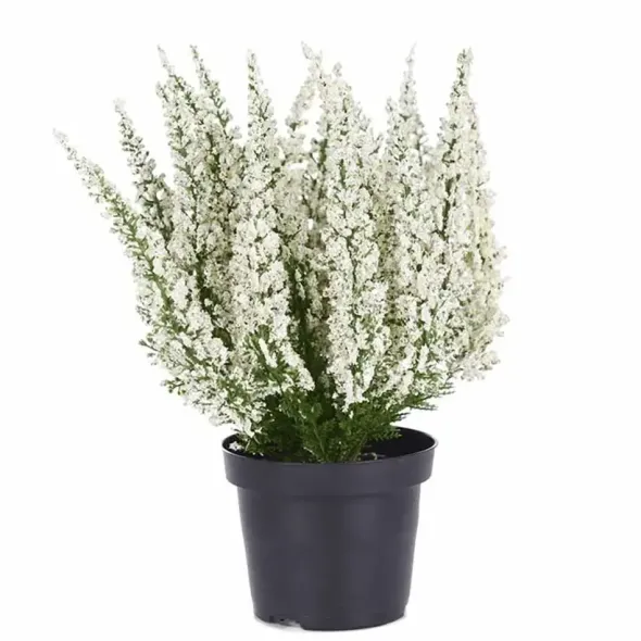 Kanerva tekokukka 28 cm – useita värejä