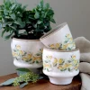 Keramiikkaruukku Limone 12,5 cm