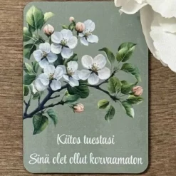 Kiitos tuestasi Magneetti
