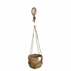 Koriamppeli kookosta 13cm