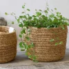 Koriruukku kookosta 18cm