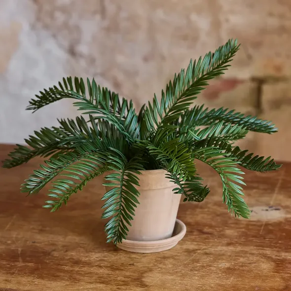 Käpypalmu tekokasvi 25 cm
