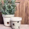 Kukkaruukku Bees 9,5 cm