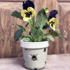 Kukkaruukku Bees 9,5 cm