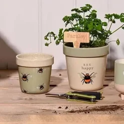 Kukkaruukku Bees 9,5 cm
