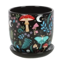 Kukkaruukku Dark Forest 13 cm