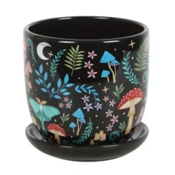 Kukkaruukku Dark Forest 13 cm