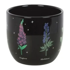 Kukkaruukku Poisonous Plants 12 cm