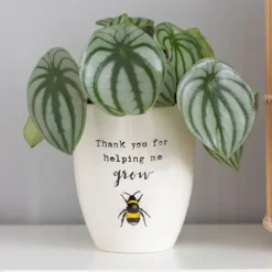 Kukkaruukku Thank you for helping me grow
