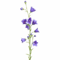 Kurjenkello 65 cm – kaksi väriä