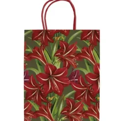 Lahjakassi Amaryllis 24 cm