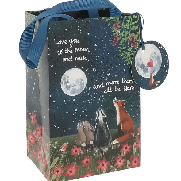 Lahjakassi Love you to the moon and back 20 cm