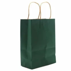 Lahjakassi vihreä 22 cm