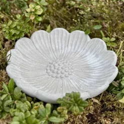 Lintuallas kukka