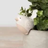 Lintukoriste ruukun reunaan