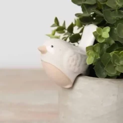 Lintukoriste ruukun reunaan