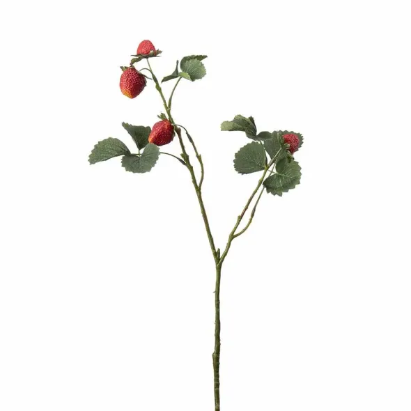 Mansikkaoksa 50 cm