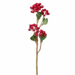 Marjaoksa punainen 30 cm