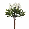Marjaoksa valkoinen 20 cm