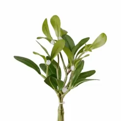 Mistelinoksakimppu 3 kpl 18 cm