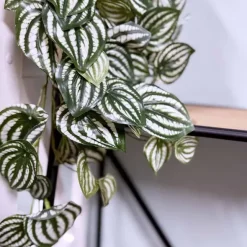 Muorinkukkaköynnös 180 cm vaalea
