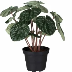 Muorinkukka tekokasvi 20 cm