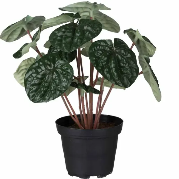 Muorinkukka tekokasvi 20 cm