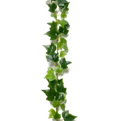 Murattiköynnös 180 cm