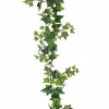 Murattiköynnös 120 cm
