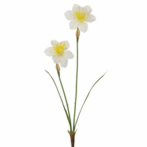 Narsissi valkoinen 58 cm