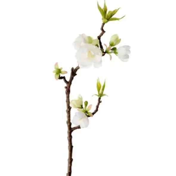 Omenankukkaoksa 40 cm – kaksi väriä