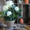 Pelargonia ruukussa kermanvalkoinen 34 cm